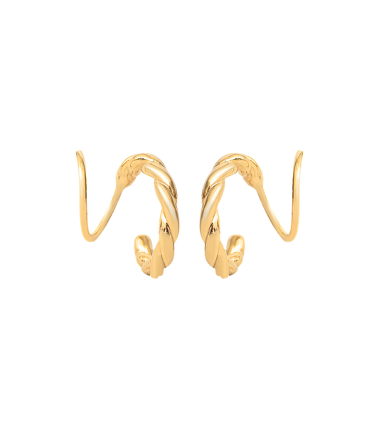 Oorbellen - twisted twister