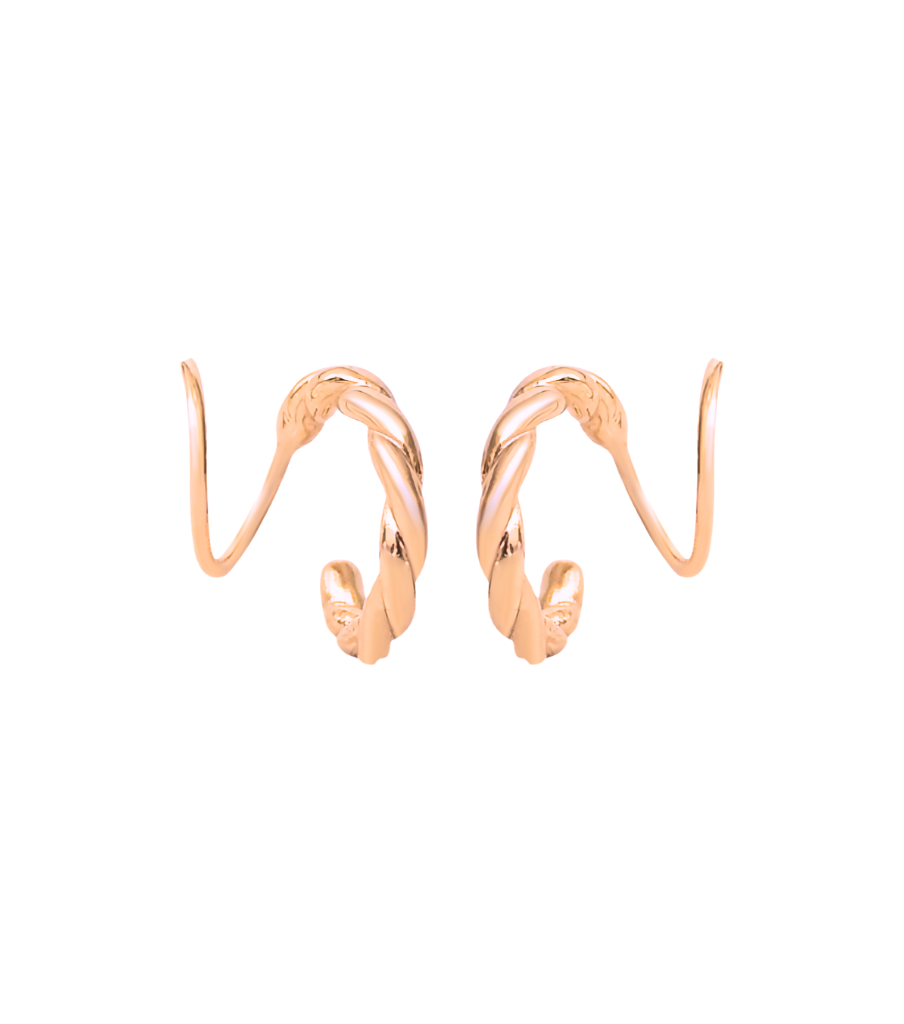 Oorbellen - twisted twister