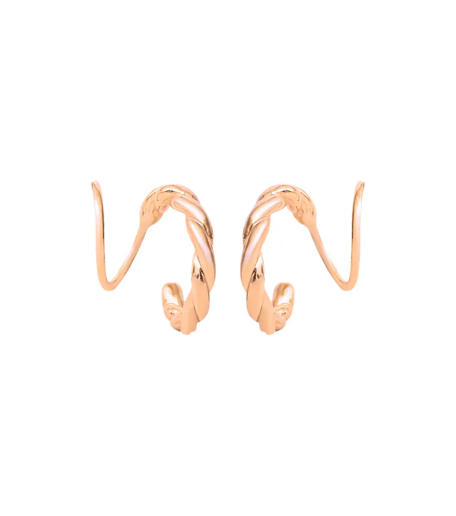 Oorbellen - twisted twister