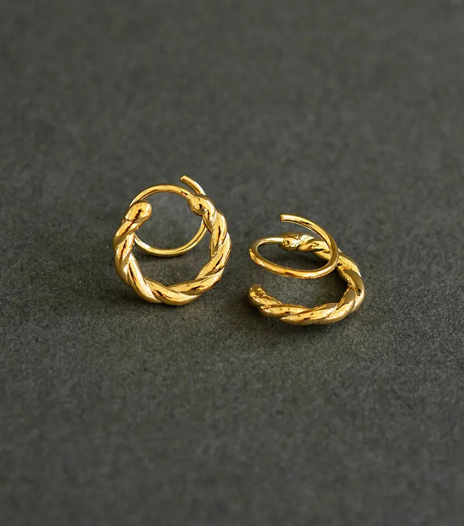 Oorbellen - twisted twister