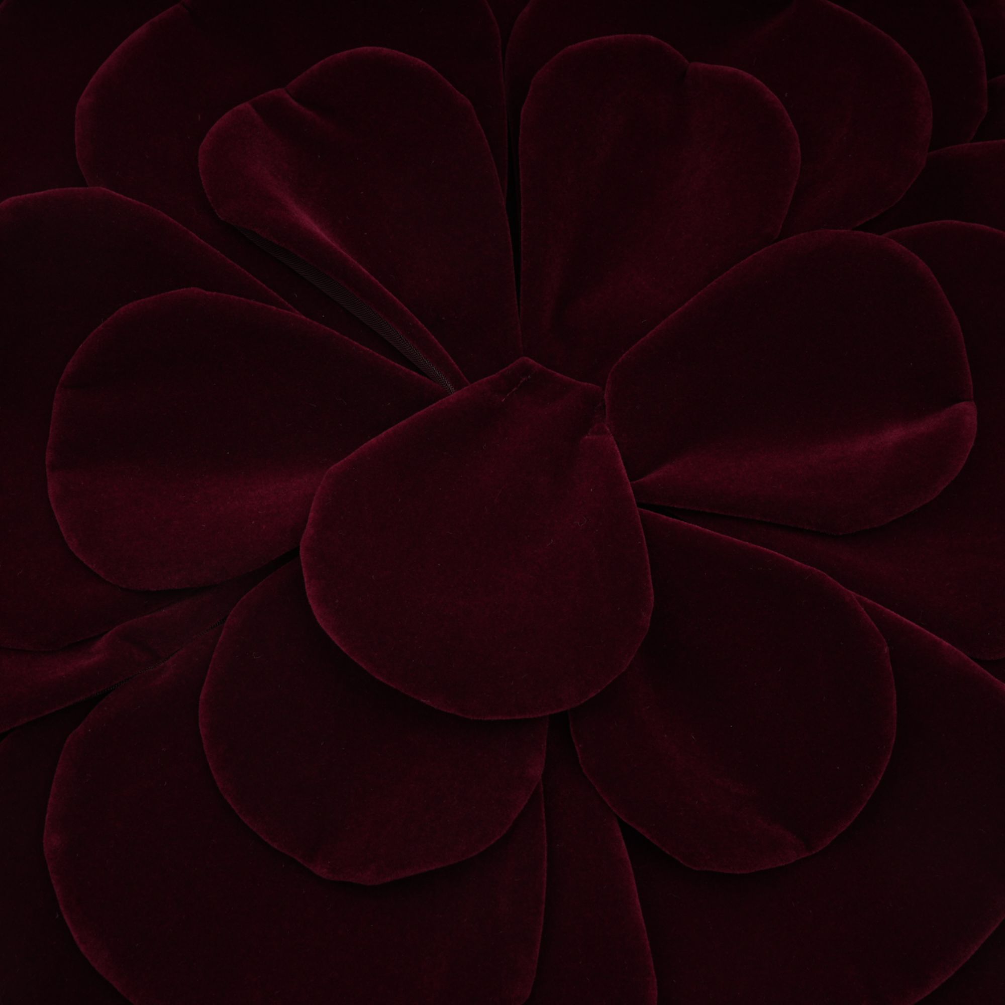 Azura Röd Blommig Applikation Miniklänning